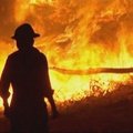 Australijoje sėkmingai gesinami krūmynų gaisrai
