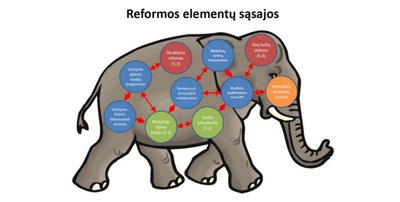 Reformos VU elementų sąsajos