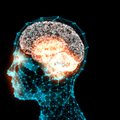 Kas veikia smegenis: efektyviausi mokymosi receptai