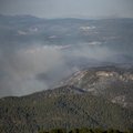 Ispanijoje, netoli Valensijos, jau dvi paras nevaldomas siautėja ankstyvas miško gaisras