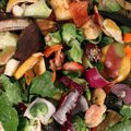 Vilnius ruošiasi naujajai maisto atliekų rūšiavimo ir surinkimo sistemai