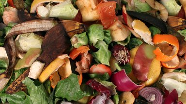 Vilnius ruošiasi naujajai maisto atliekų rūšiavimo ir surinkimo sistemai