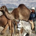 Egipto beduinai pagrobė du turistus