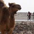 Daugiadienių dviratininkų lenktynių Omane pirmą etapą G.Bagdonas baigė 26-as