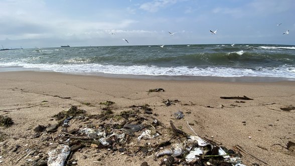 Lithuania hands over to Russia regarding serious environmental violations in Baltic Sea