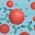 Atrastas galingas antivirusinis vaistas, kuris galėtų padėti kovoje ir su COVID-19, ir su gripu