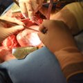 Pacientas, kuriam persodinta kiaulės širdis, stebina net medikus