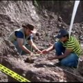 Kolumbijoje paleontologai iškasė 130 mln. metų senumo fosiliją