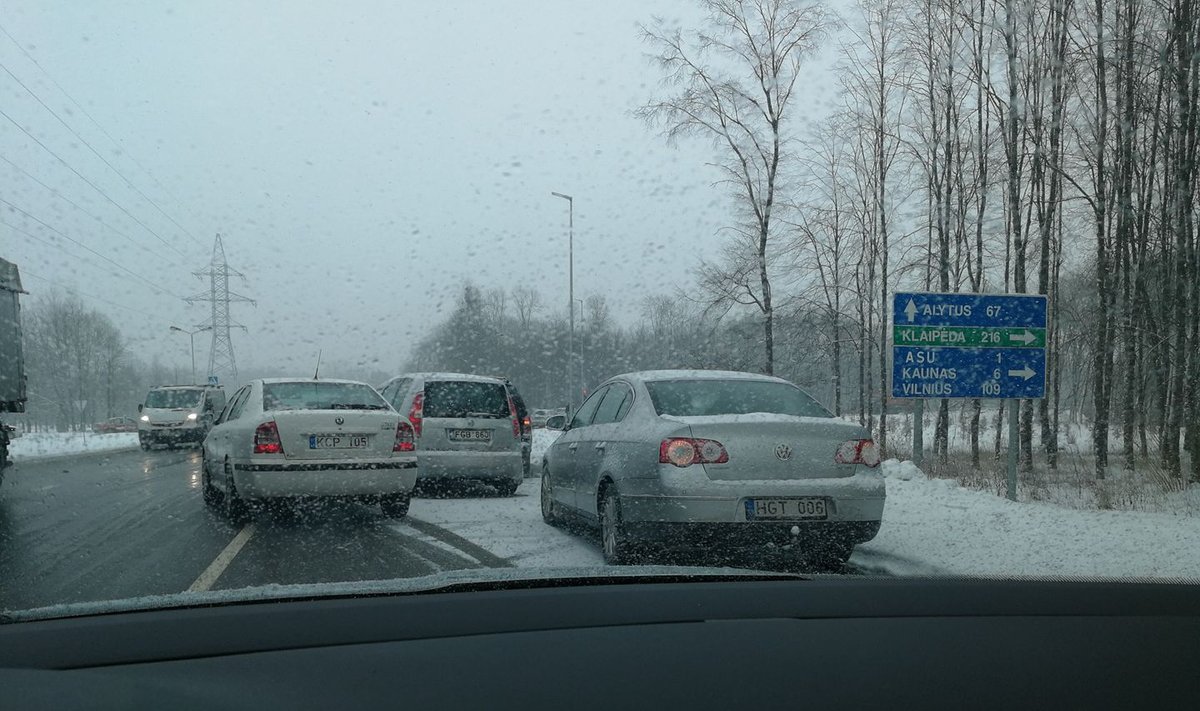 Sniegas Kaune