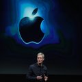 „Apple“ vadovas tapo patyčių objektu