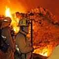 Kalifornijoje įsiautėję gaisrai naikina ištisus miesto kvartalus
