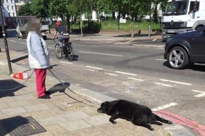 Moteris tampėsi negyvą šunį (Anglija.lt nuotr.)