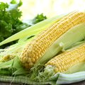 Rusija gali uždrausti kukurūzus iš JAV