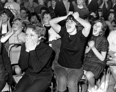 "The Beatles" fanės