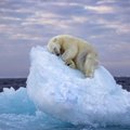 Arkties vandenyne – kardinalūs pokyčiai: mokslininkai perspėja, kad toks atvejis – pirmas per visą matavimų istoriją