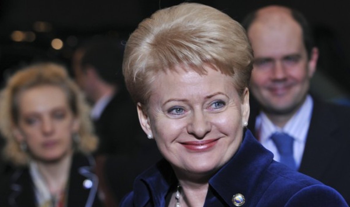 D.Grybauskaitė atvyko į ES viršūnių susitikimą