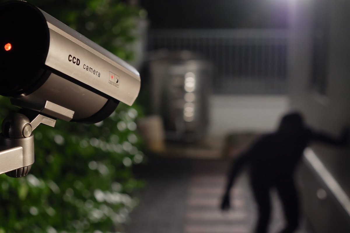 I lituani installano velocemente telecamere di videosorveglianza: gli esperti di sicurezza hanno individuato gli elementi più importanti a cui prestare attenzione per proteggersi dai ladri