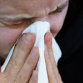 Patarė, kaip atskirti alergiją nuo peršalimo ligų ir gripo