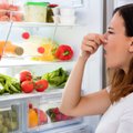 Efektyvios priemonės, panaikinančios blogą kvapą šaldytuve