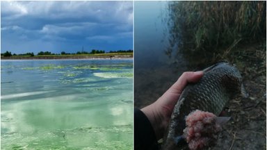 Žvejai kraupsta nuo Kauno mariose sugaunamų žuvų: ekspertas įspėja, kad šis vandens telkinys jau pasiekė „taršos limitą“