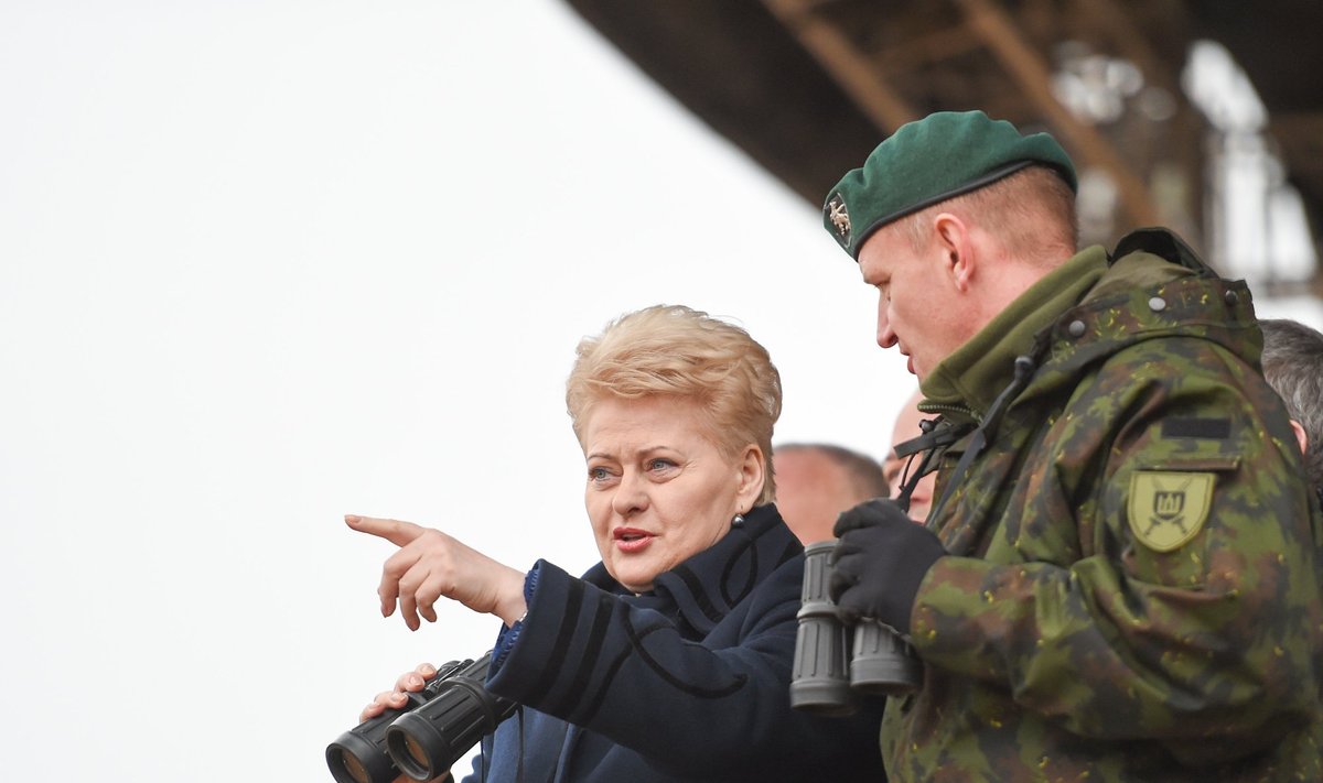 Dalia Grybauskaitė stebi Pabradės poligone karines pratybas Geležinis kardas 2014