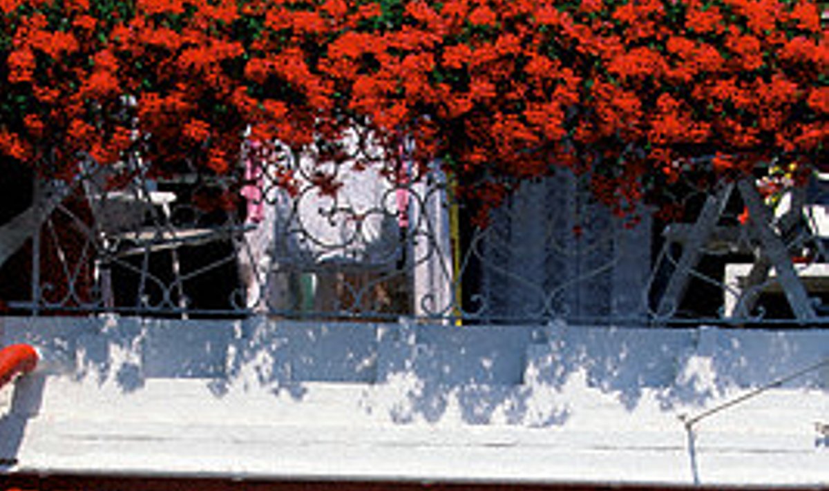 Balkonas, gėlės
