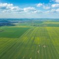 Lithuania to make it easier for foreigners to buy land
