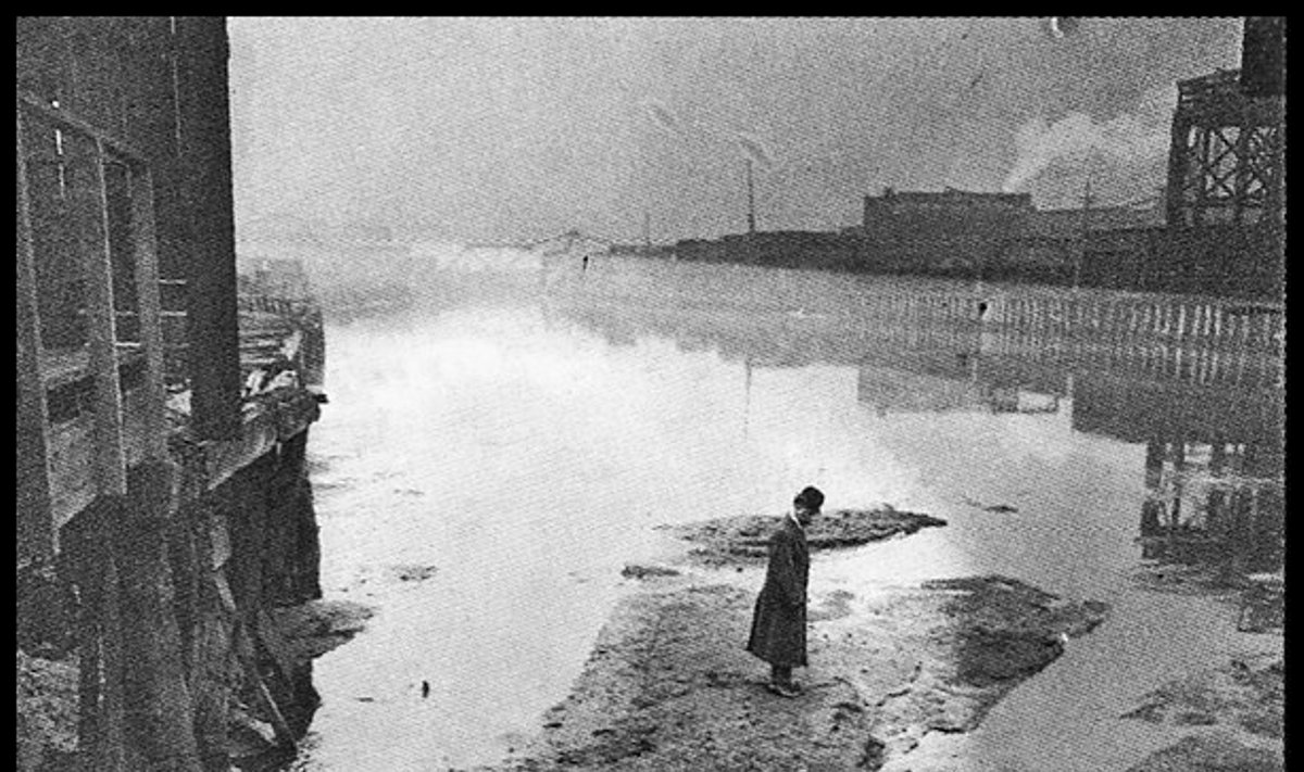 Vyras stovi ant upelyje supiltos mėsinių atliekų salos, 1911 metai Čikaga