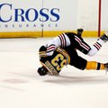 „Bruins“ ledo ritulininkai persvėrė NHL finalo rezultatą