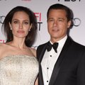 Teismai dar nesibaigė: Angelina Jolie teigia, kad Bradas Pittas smurtavo prieš ją ir vaikus