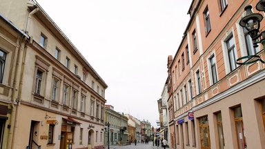Kaunas ruošiasi rekonstruoti vieną pagrindinių miesto gatvių