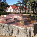 Rokiškio rajone 3D technologijomis sukurta Stelmužės ąžuolo kamieno kopija