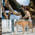 Zoologijos sodas Kaune vėl laukia lankytojų, bet įspėja: žiūrėkite po kojomis, kad neužliptumėte ant gyvūnų