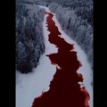 Ar „kraujuojanti“ Rusijos upė įspėja apie pasaulio pabaigą?