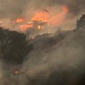 В Чили жертвами лесных пожаров стали более 120 человек