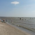 Vos už kelių valandų nuo Lietuvos rado vietą, kur Baltijos jūra neįtikėtinai šilta: temperatūra čia aukštesnė nei bet kur kitur