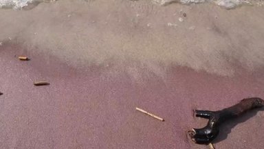 [Delfi trumpai] Vienas įdomiausių Lietuvos ežerų nustebino smėlio spalva: vaizdas lyg iš atostogų atviruko