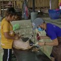 Tailande savanoris nemokamai kerpa nedraugiškus šunis