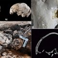 Prieš 5000 metų mirusio žmogaus kaukolėje – pragręžtos skylės: mokslininkai mano, kad tai – seniausia žinoma ausies operacija
