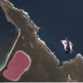 Rožinės spalvos ežeras užminė mįslę FOTO