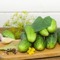 5 geriausi agurkų konservavimo receptai