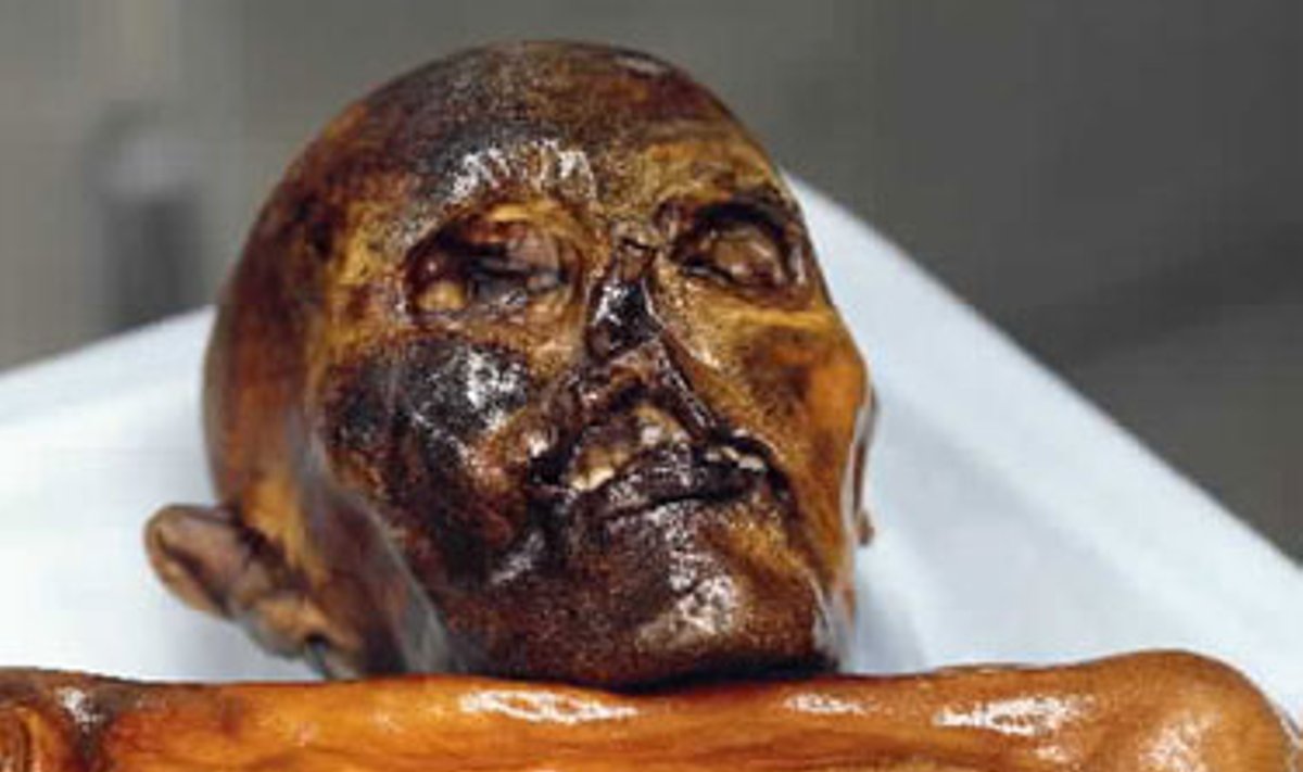 Alpėse rasta 5300 metų senumo Akmens amžiaus mumija tebekelia daug klausimų mokslininkams. Tuo tarpu gandai apie tai, kad radusius šią mumiją prislėgs prakeikimas, tebesklando.