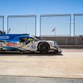 Gustas Grinbergas sieks Azijos Le Mans čempionato titulo
