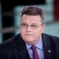 Глава МИД Литвы: перенос Brexit на срок после выборов в ЕП создает правовые проблемы Европе