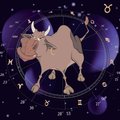 Astrologės Lolitos horoskopas savaitei kiekvienam Zodiako ženklui: Jautis