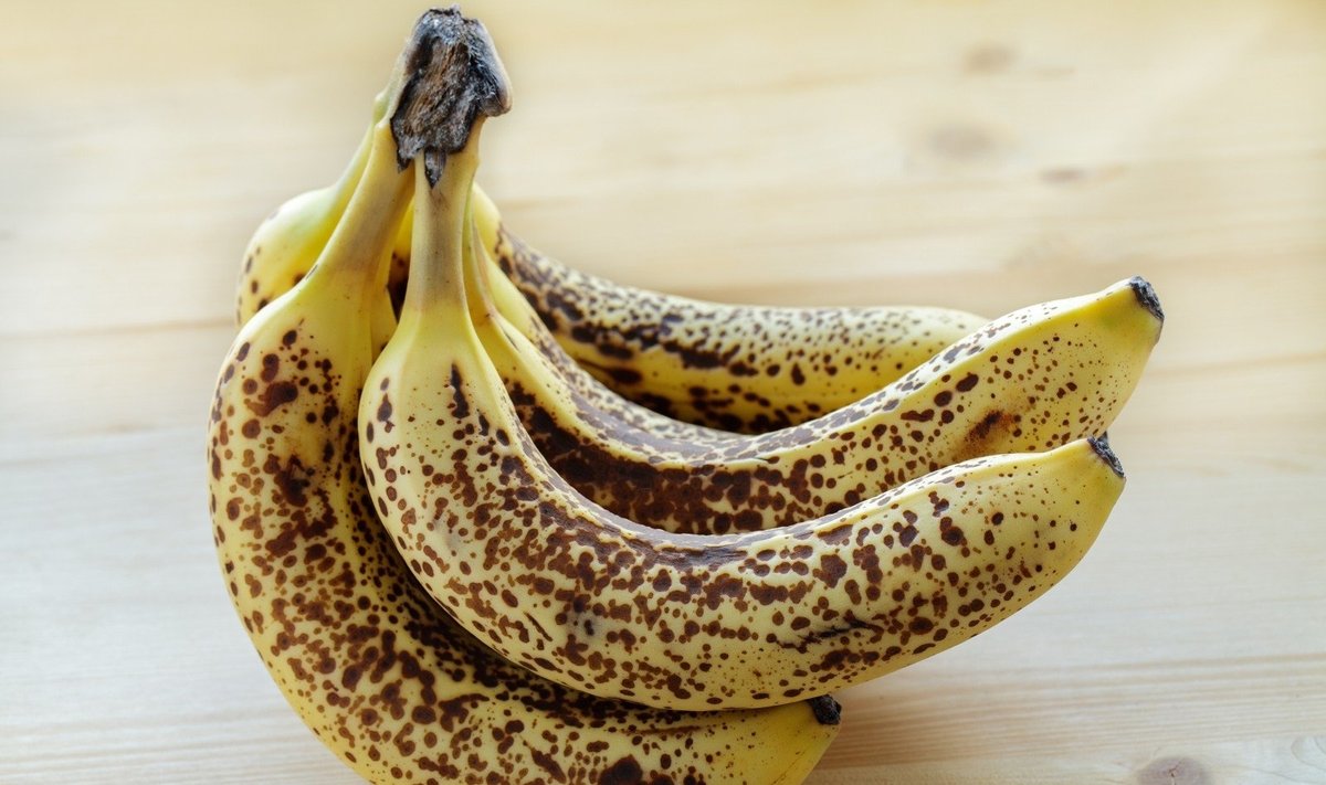 Pernokę bananai