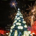 Šįmet Kaune – tropinės Kalėdos: išklojo, kiek kainuos sukurti šventinę nuotaiką