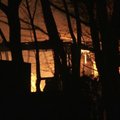 Tenesio valstijoje siautusių gaisrų aukų padaugėjo iki vienuolikos