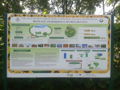 Augalų biomasės perdirbimo į biokurą schema