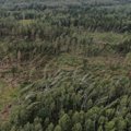 Lietuvą talžiusi audra miškuose nuvertė virš 50 tūkst. medžių: priminė ir ankstesnes tragedijas